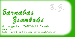 barnabas zsamboki business card